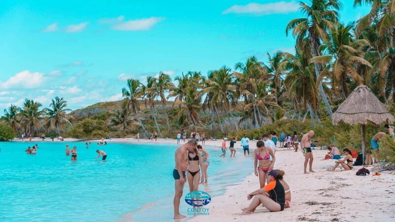 From Cancun or Riviera Maya: Isla Contoy & Mujeres Day Trip - A Complete Guide to the Isla Contoy & Mujeres Day Trip