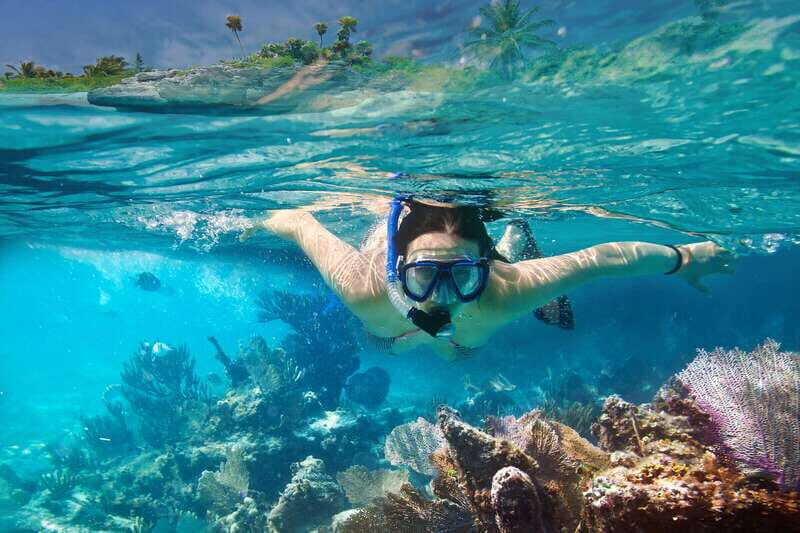 From Cancun or Riviera Maya: Isla Contoy & Mujeres Day Trip - Lunch on Contoy Island