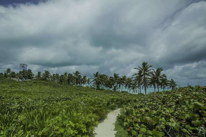 From Cancun or Riviera Maya: Isla Contoy & Mujeres Day Trip - Final Drop-Off & Overall Experience