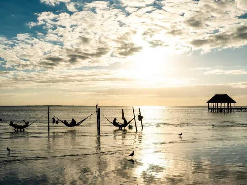 From Cancun & Playa del Carrmen: Discover the Best of Holbox - Who Should Consider This Tour?