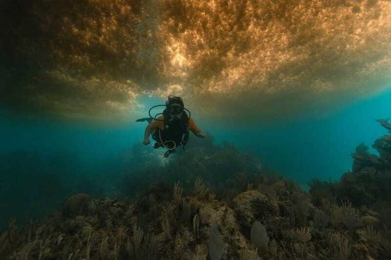 From Cancun: Puerto Morelos Diving Adventure - The Sum Up