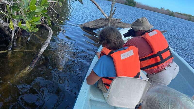 From Cancun: Rio Lagartos and Las Coloradas Day Trip - Discover the Natural Wonders of Yucatan on a Cancun Day Trip