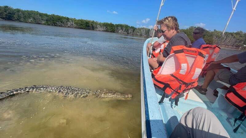 From Cancun: Rio Lagartos and Las Coloradas Day Trip - Who Would Love This Tour?