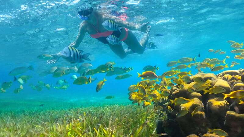 From Cancun & RivieraM: Sailing & Snorkeling to Isla Mujeres - Gourmet Lunch and Open Bar