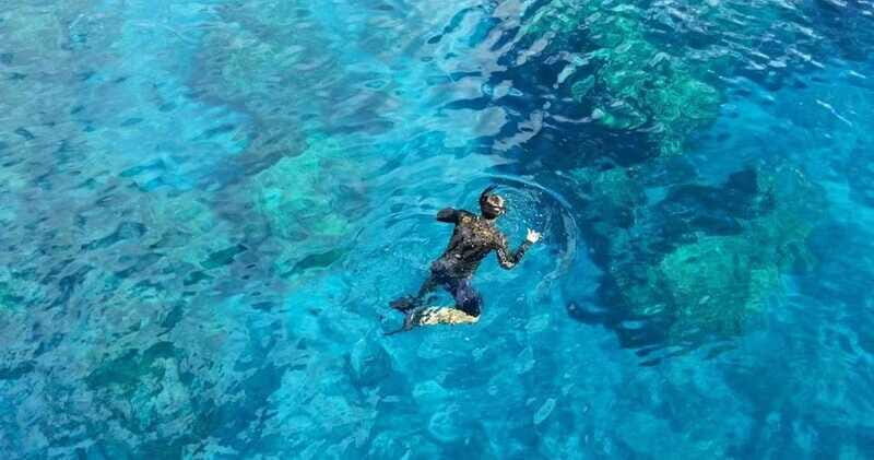 From Cancun: Snorkeling Cozumel Reefs - The Sum Up