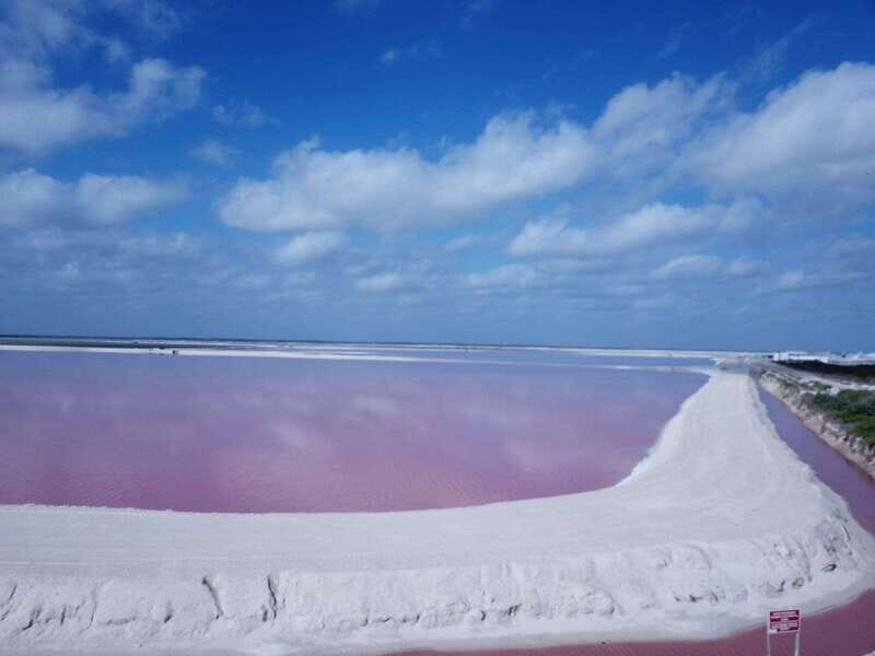 From Cancun/Tulum/Riviera: Las Coloradas & Rio Lagartos Tour - Introduction