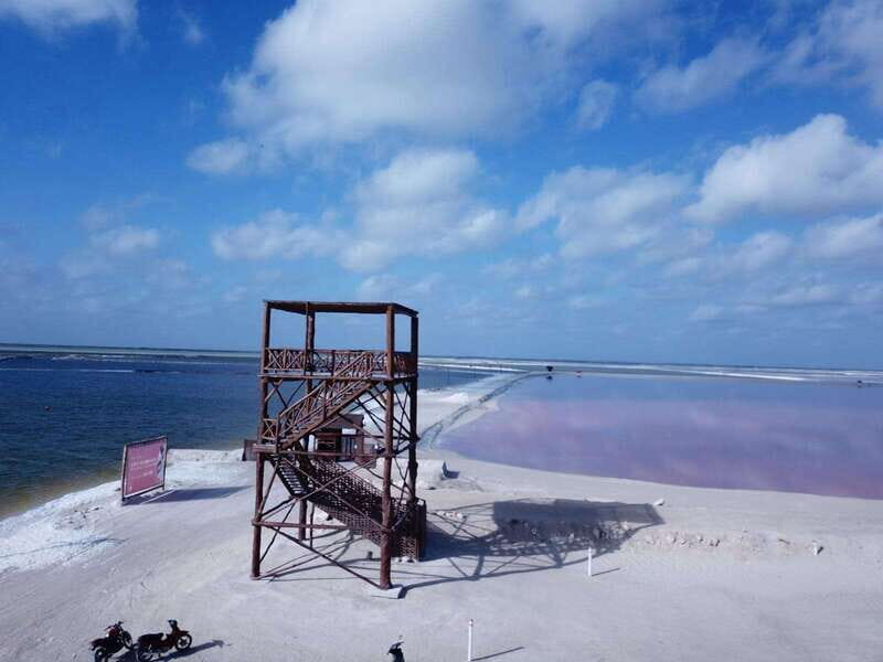 From Cancun/Tulum/Riviera: Las Coloradas & Rio Lagartos Tour - FAQ