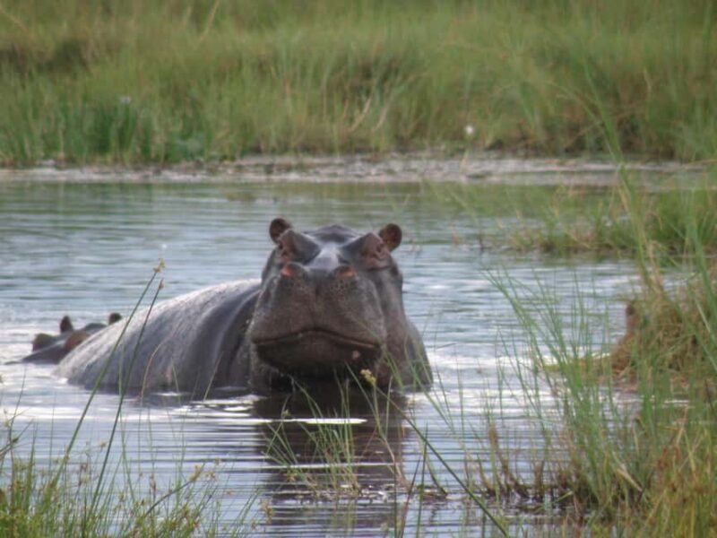 From Cape Town: 12-Day Private Tour to Johannesburg - Who Should Consider This Tour
