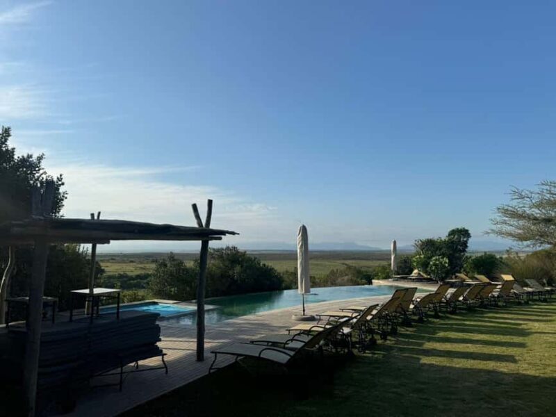 From Cape Town: 2-Day Garden Route Safari - Key Points