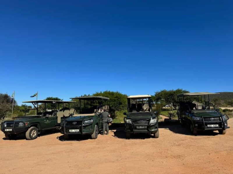From Cape Town: 2-Day Garden Route Safari - What Travelers Say