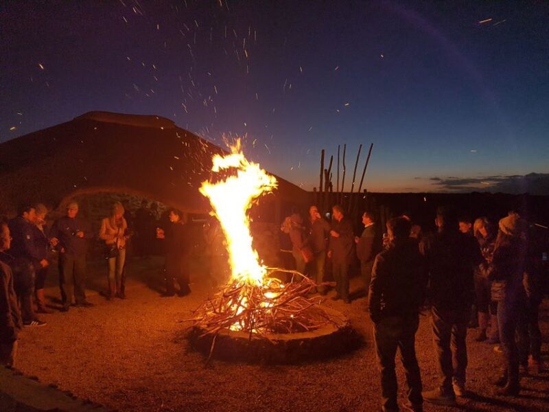 From Cape Town: 2-Day Safari at Garden Route Game Lodge - Practicalities: Transport, Accommodation, and Value