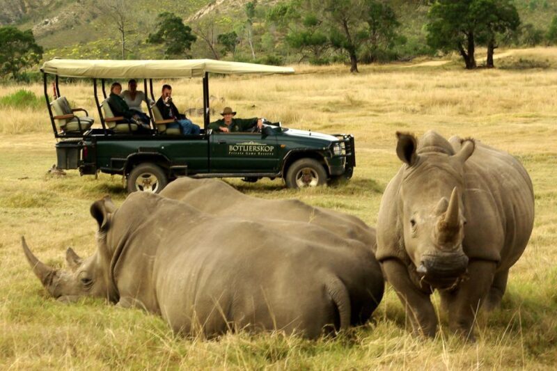 From Cape Town: 3-Day Garden Route Highlights and 4x4 Safari - Who Will Love This Tour?