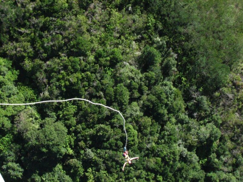 From Cape Town: 3-Day Garden Route Highlights and 4x4 Safari - Frequently Asked Questions