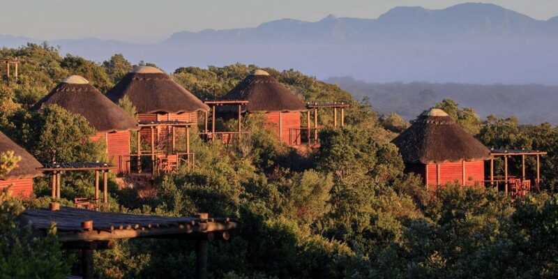 From Cape Town: 3-Day Garden Route Safari and Coastal Tour - Key Points