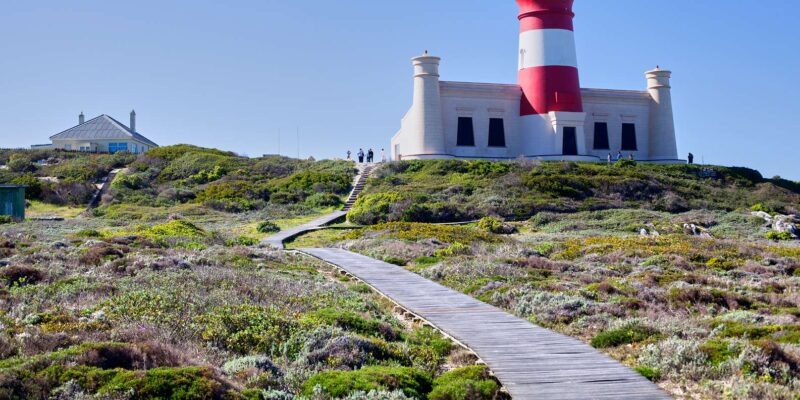 From Cape Town: 3-Day Garden Route Safari and Coastal Tour - An In-Depth Look at the Experience