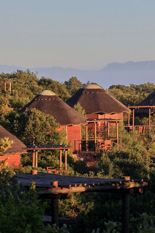 From Cape Town: 3-Day Garden Route Safari and Coastal Tour - The Sum Up: Is This Tour Right for You?