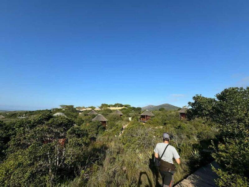From Cape Town: 3-Day Safari, Penguins & visit to Mossel Bay - FAQ