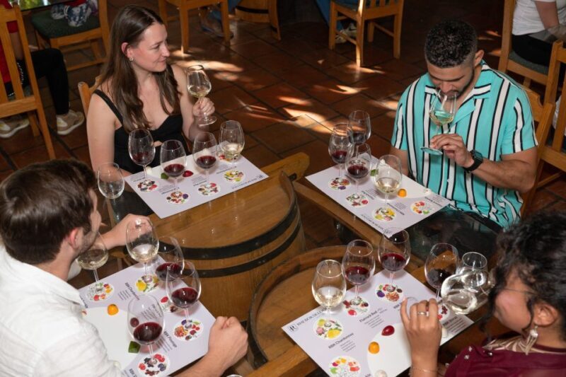 From Cape Town: 3 Regions Wine Tour with 3 Estates, 15 Wines - Who Will Love This Tour?