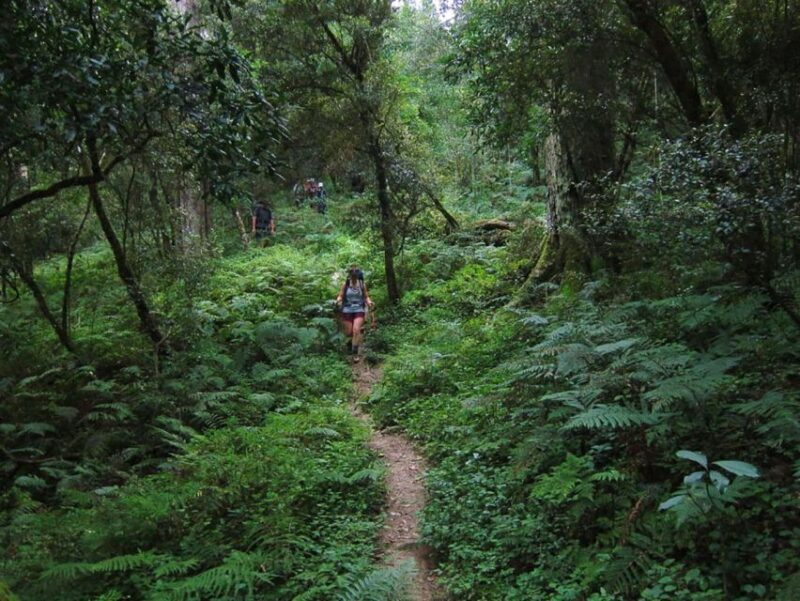 From Cape Town: 4 Day Luxury Garden Route Selection Tour - An In-Depth Look at the 4-Day Garden Route Tour