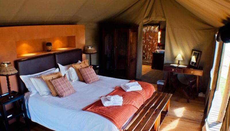 From Cape Town: 4 Day Luxury Garden Route Selection Tour - FAQ