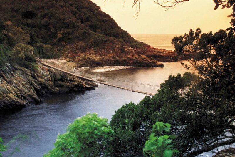 From Cape Town: 5-Day Best of Garden Route and Addo Safari - Discover South Africa’s Garden Route and Addo Safari in 5 Days