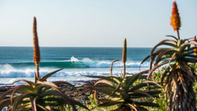 From Cape Town: 5-Day Best of Garden Route and Addo Safari - Key Points