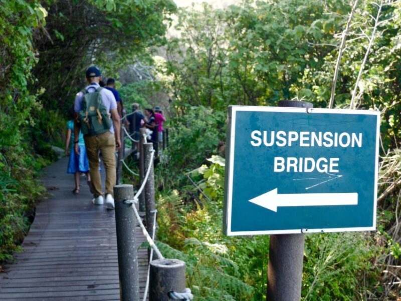 From Cape Town: 5-Day Best of Garden Route and Addo Safari - What This Tour Means for You