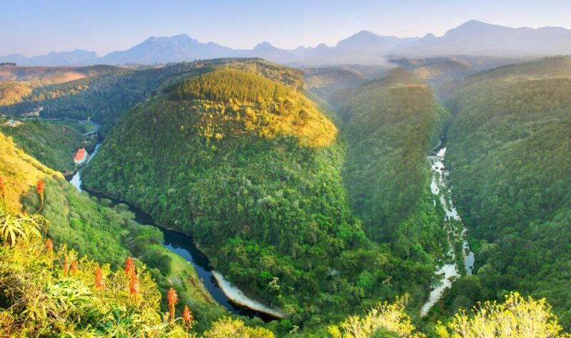 From Cape Town: 5-Day Best of Garden Route and Addo Safari - FAQ