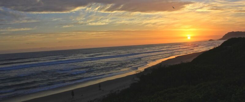 From Cape Town: 7-Day Garden Route, Addo and Winelands Combo - The Value of This Tour