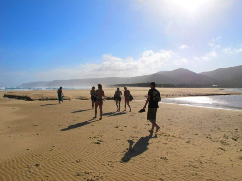 From Cape Town: 7-Day Garden Route, Addo and Winelands Combo - Who Is This Tour Best For?