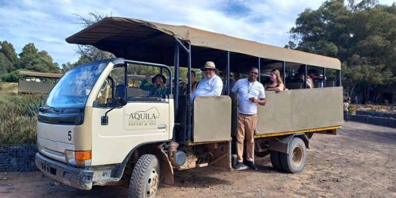 From Cape Town: Aquila Game Reserve Sunset Game Drive - An Honest Look at the Experience