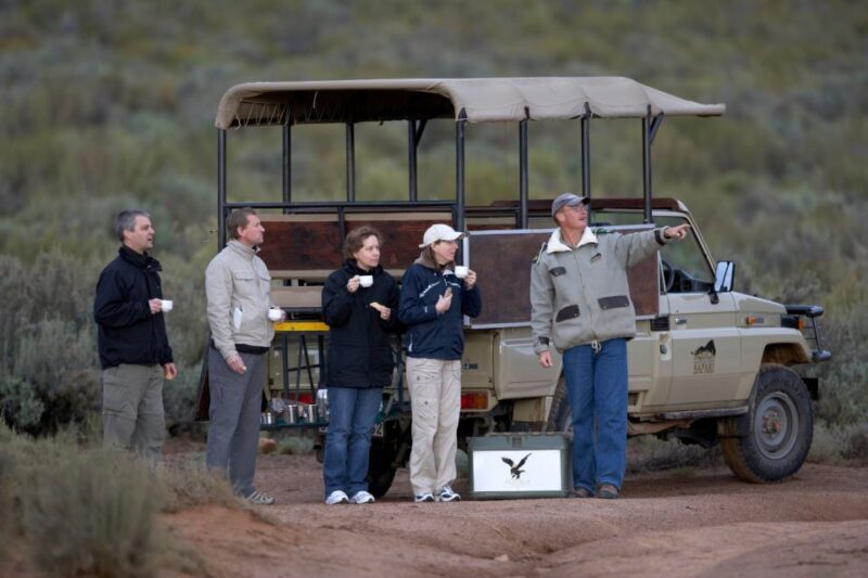 From Cape Town: Big Five Game Reserve with Lunch - Lunch at the Lodge