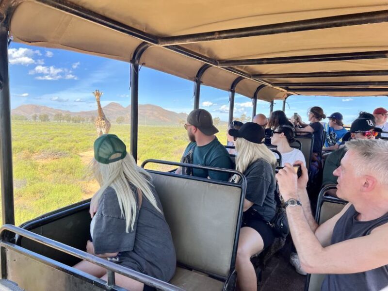 From Cape Town: Big Five Safari Experience with Lunch - A thorough look at the safari experience