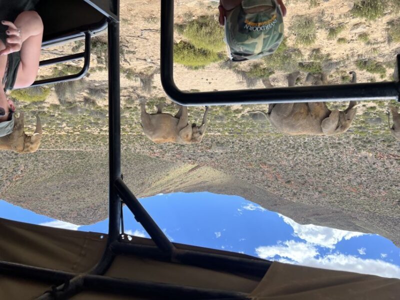 From Cape Town: Big Five Safari Experience with Lunch - Who is this safari best suited for?