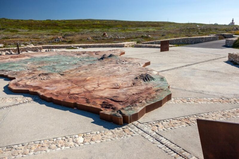 From Cape Town: Cape Agulhas, Penguins, Wine Tasting Tour - Key Points
