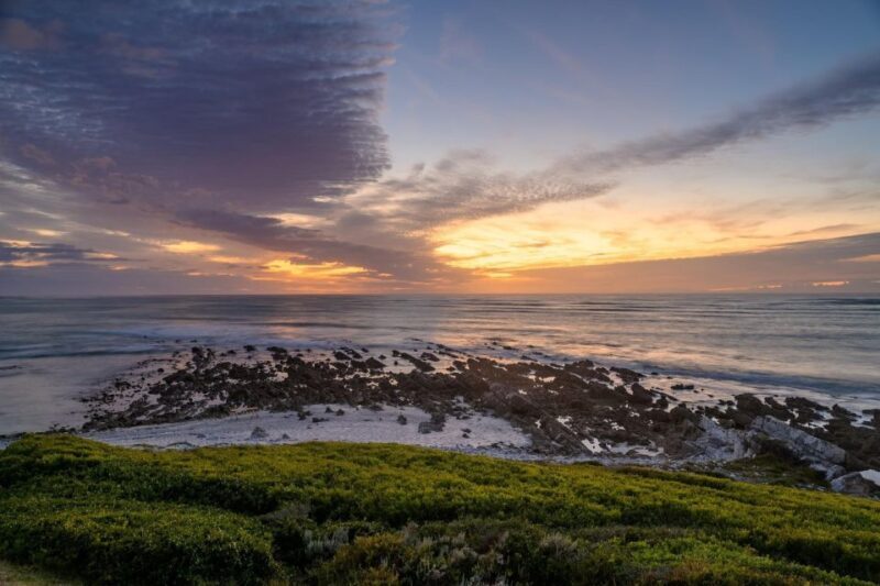 From Cape Town: Cape Agulhas, Penguins, Wine Tasting Tour - An In-Depth Look at the Tour Itinerary