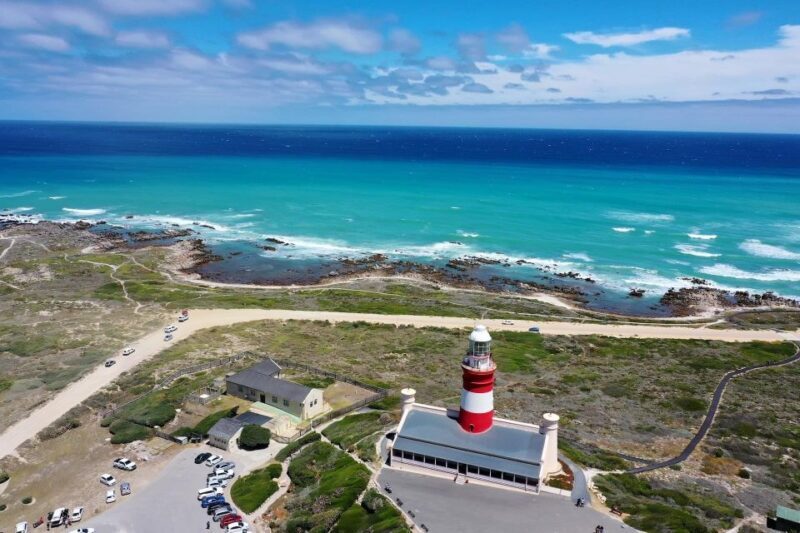 From Cape Town: Cape Agulhas, Penguins, Wine Tasting Tour - Things to Consider