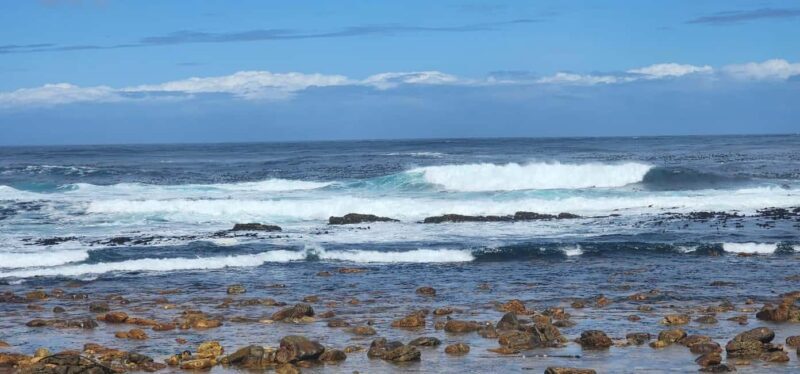 From Cape Town: Cape Peninsula Full-Day Private Tour - An In-Depth Look at the Full-Day Cape Peninsula Tour