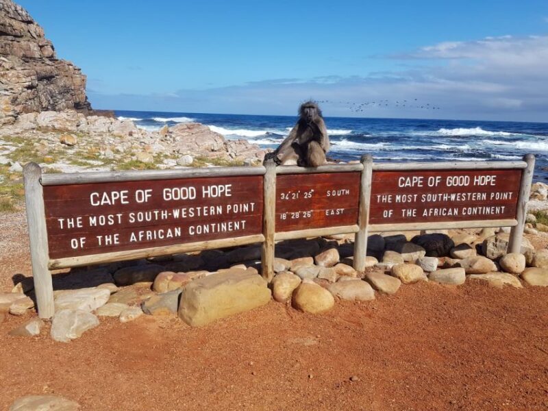 From Cape Town: Cape Point and Boulders Beach Full-Day Tour - Authentic Insights from Reviews