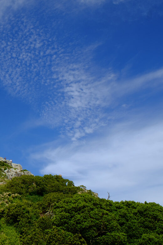From Cape Town: Cape Point and Boulders Beach Half-Day Tour - What’s Included and What to Consider