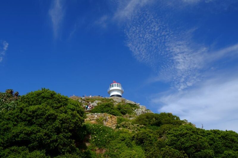 From Cape Town: Cape Point & Boulders Beach Full-Day Tour - Key Points