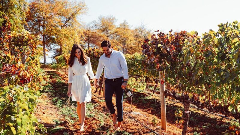From Cape Town: Cape Winelands Full-Day Private Tour - Value and Cost Considerations