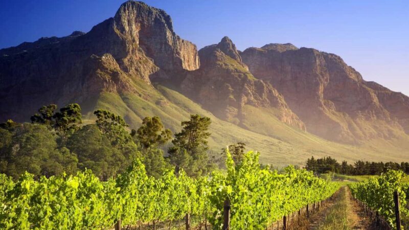 From Cape Town: Cape Winelands Private Guided Day Tour - Key Points