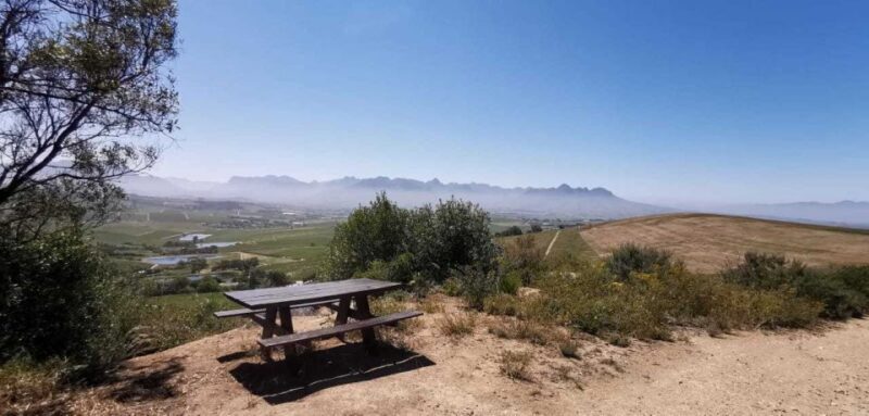 From Cape Town: E-Bike Winelands Tour - What to Expect on the E-Bike Winelands Tour