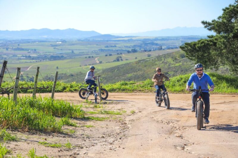 From Cape Town: E-Bike Winelands Tour - The Practicalities: Whats Included and Whats Not