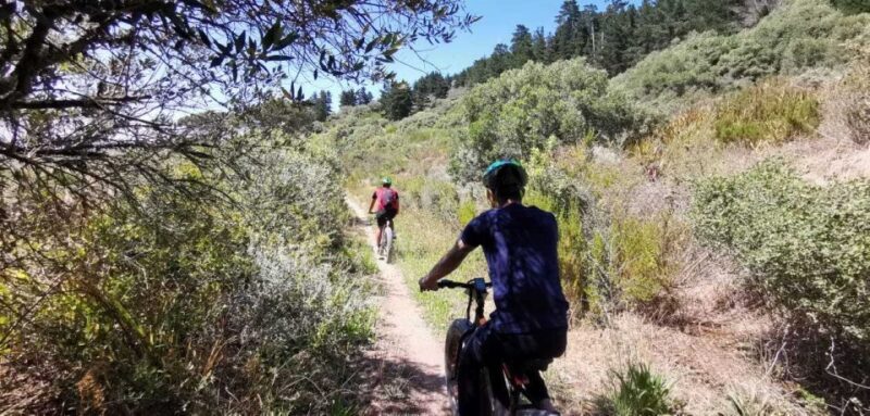 From Cape Town: E-Bike Winelands Tour - Who Will Love This Tour?