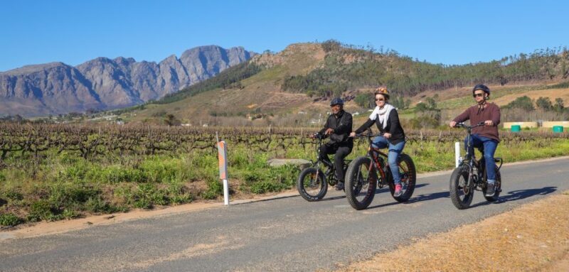From Cape Town: E-Bike Winelands Tour - The Sum Up: Why This Tour Offers Real Value