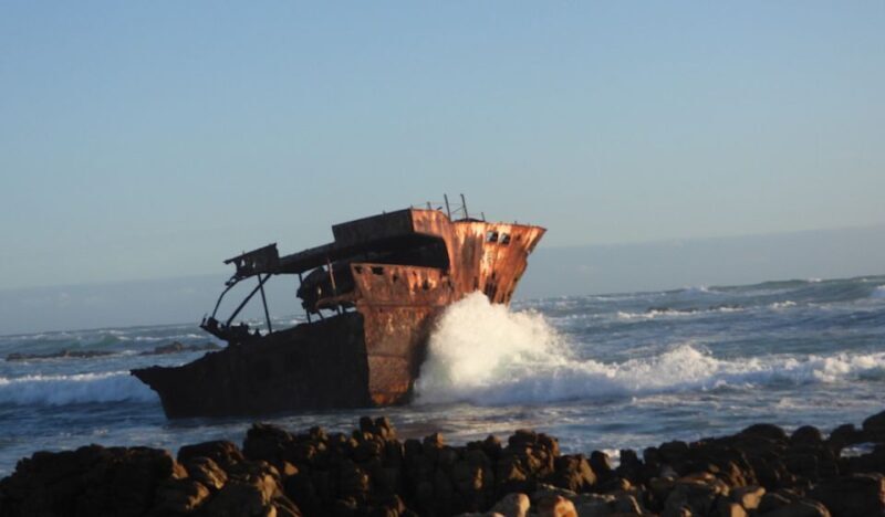 From Cape Town: Full-Day Cape Agulhas Private Tour - A Deep Dive into the Experience  