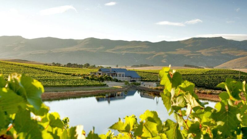 From Cape Town: Full-Day Cape Agulhas Private Tour - FAQ  