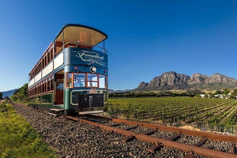 From Cape Town: Full-Day Cape Winelands Taste Tour + Tram - Key Points